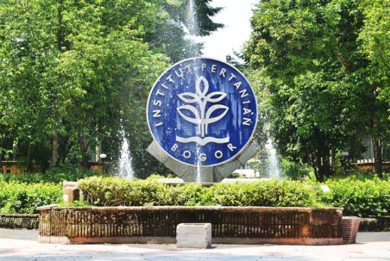ipb-university-bogor-_191101091417-596