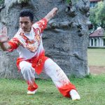 wushu boy