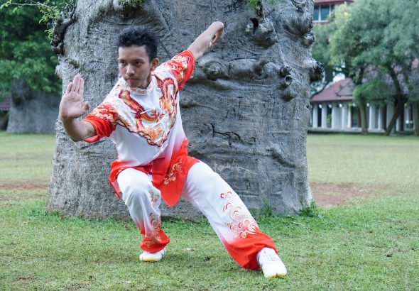 wushu boy